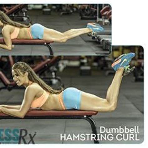 Dumbbell Hamstring Curl by Rushfitness 💪🏽 - Exercise How-to - Skimble