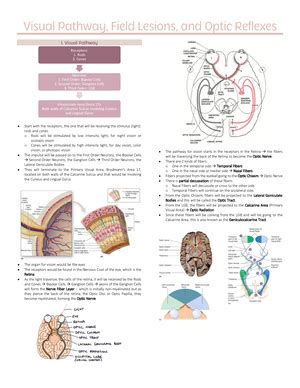 Doc2 - nnnnnnnnnnn - Vertebrate Histology - Studocu