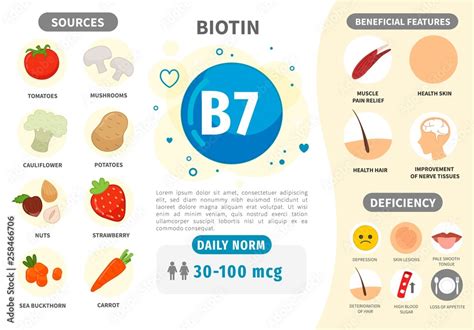 Infographics Vitamin B7. Products containing vitamin. Daily norm. Symptoms of deficiency. Vector ...