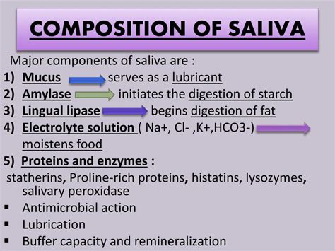 PPT - SALIVA (Composition and Functions) PowerPoint Presentation, free download - ID:5294675