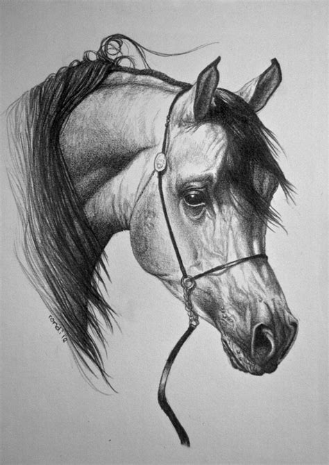 Arabian horse by NutLu on deviantART - http://nutlu.deviantart.com/art ...