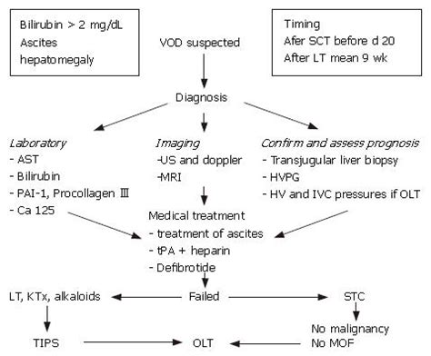 Veno occlusive disease: Update on clinical management