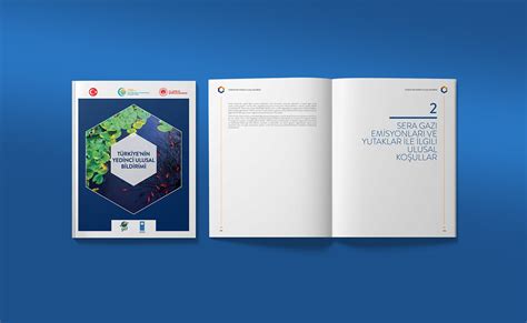 UNDP Projects Report Designs on Behance