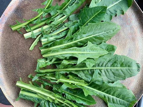 Sautéed Dandelion Greens with Cherry Tomatoes & Garlic - Aviva Romm, MD