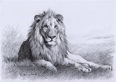 10+ Cool Lion Drawings for Inspiration 2022