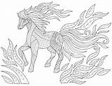 Printable Detailed Horse Adult Coloring Page sketch template
