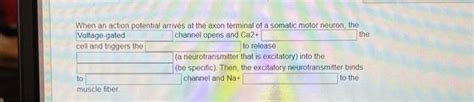 Solved When an action potential arrives at the axon terminal | Chegg.com