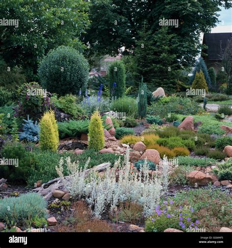 Rock Garden - planted with Perennials Dwarf Conifers and Heathers ...