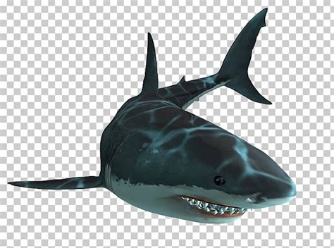 Jaws Unleashed Shark Jaws PlayStation 2 Great White Shark PNG, Clipart ...