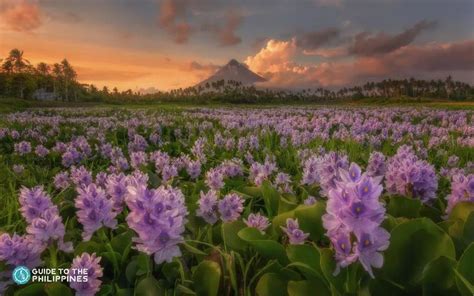 Guide to Mayon Volcano in Albay Bicol: World's Most Perfect Volcanic Cone | Albay, Bicol ...