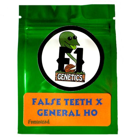 False Teeth x General Ho Feminized - F1 GENETICS