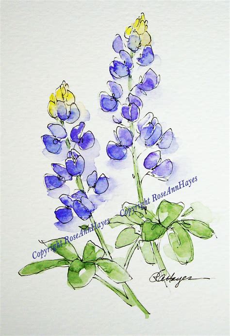 Watercolor Paintings by RoseAnn Hayes