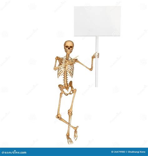 Skeleton Holding A Sign Board Stock Photo - Image: 26479980