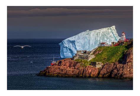 Iceberg Alley: Newfoundland & Labrador | This Bonnie Life