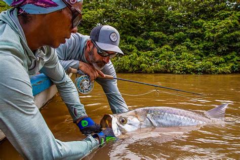 Jungle Tarpon Lodge | Fly Fishing | Costa Rica | Sportquest Holidays