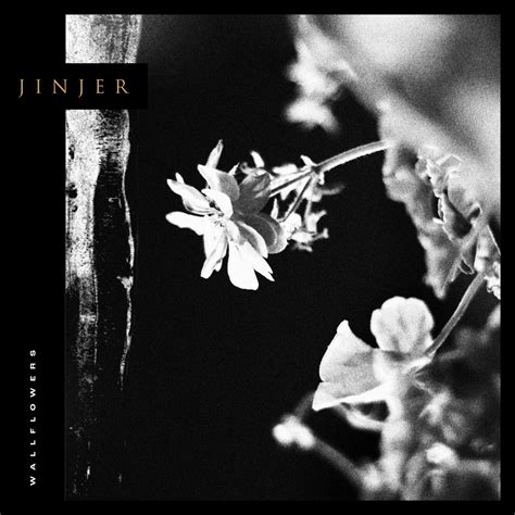 Wallflowers | Jinjer