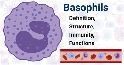 Pin on Microbiology Notes