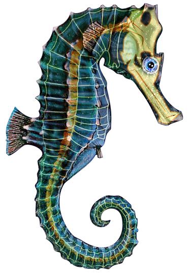 Art of Science Competition / Gallery - Seahorse Anatomy