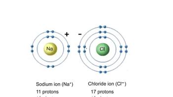 Animation: Formation of Ions and Ionic Bonds | Channels for Pearson+