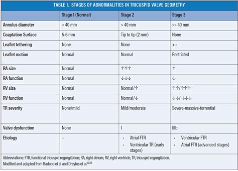 Contemporary Treatment of Tricuspid Regurgitation - Cardiac Interventions Today