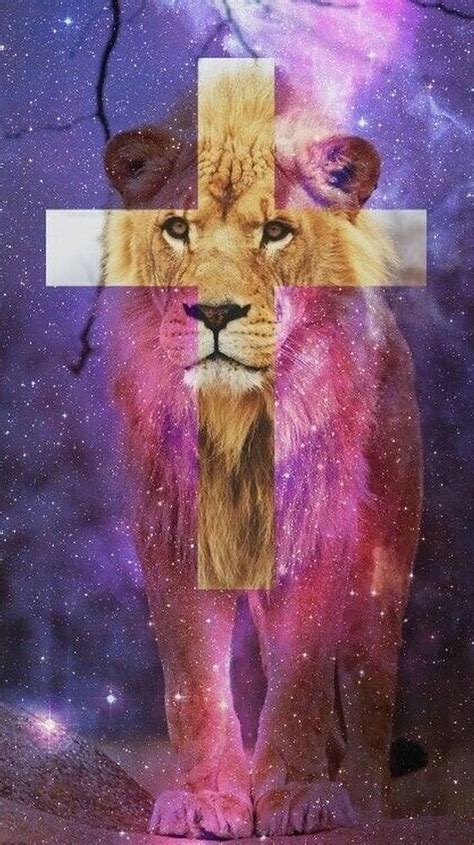 [200+] Galaxy Lion Wallpapers | Wallpapers.com
