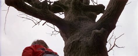 Poltergeist 1982 | Poltergeist 1982, Poltergeist, Tree trunk