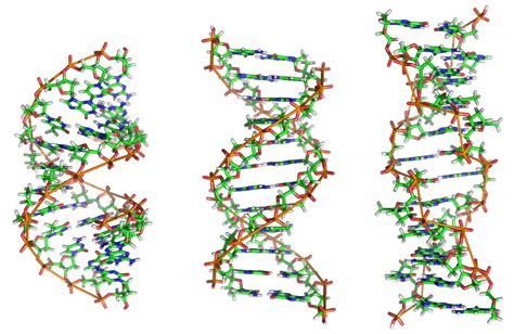 DNA PNG Images Transparent Background | PNG Play