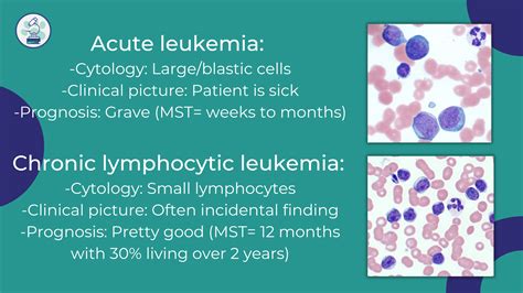 The difference between acute and chronic leukemia