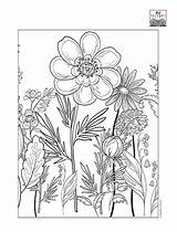 Play Therapy Coloring Pages sketch template