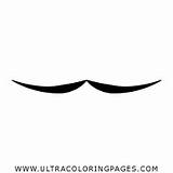 Whiskers Coloring Pages For Kids  Free To sketch template