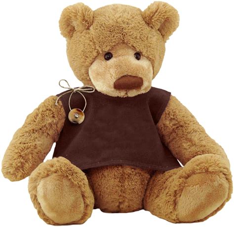 Teddy bear PNG