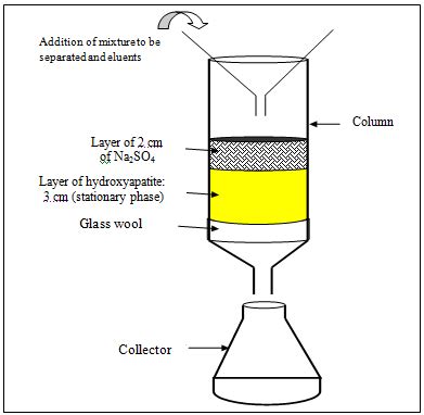 Diagram of elution chromatography column | Download Scientific Diagram