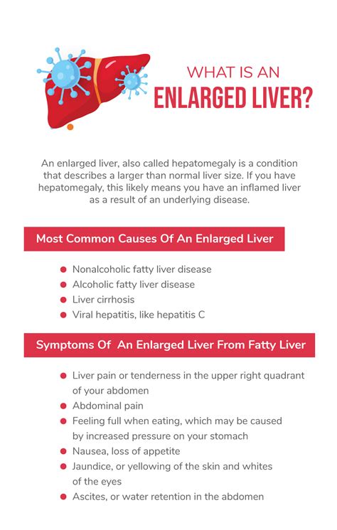 How To Check For Swollen Liver - Battlepriority6