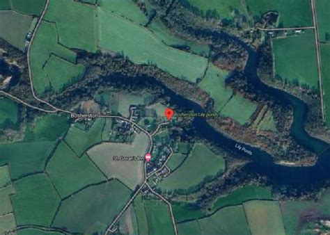 Bosherston Lily Ponds, Pembroke | Fishery Guide