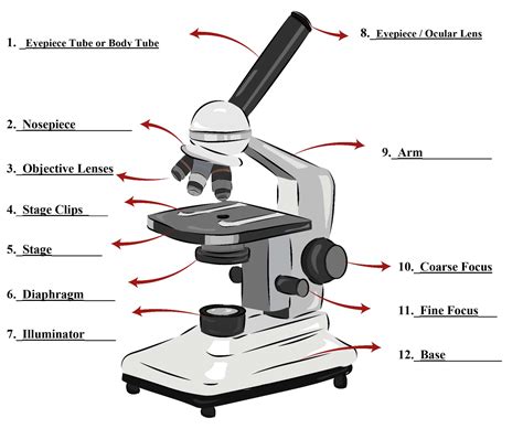 Parts of a Microscope - SmartSchool Systems