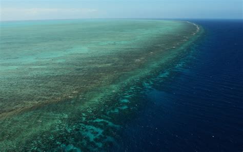 Measuring the Continued Destruction of Coral in the Great Barrier Reef ...