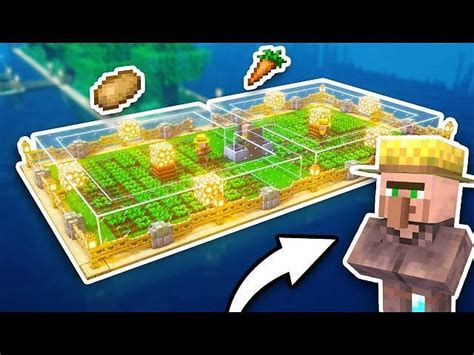 How to plant seeds in Minecraft