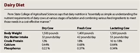 Nutrition Matters: What To Feed Your Cattle - Hobby Farms