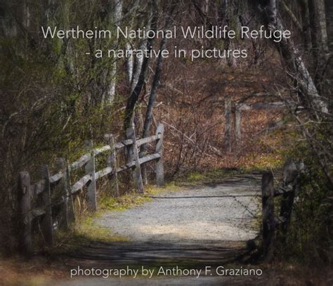 Wertheim National Wildlife Refuge - a Narrative in Pictures by Anthony F. Graziano | Blurb Books