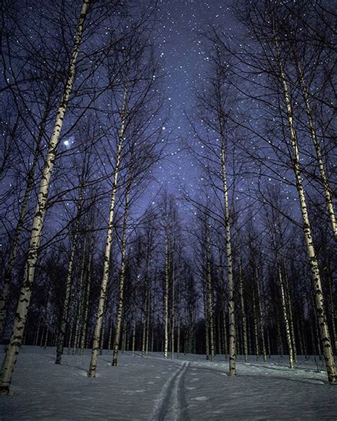 Artist Takes Magical Photos Of Finnish Winters Under The Northern Lights