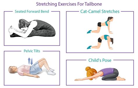 Coccyx Pain Exercises