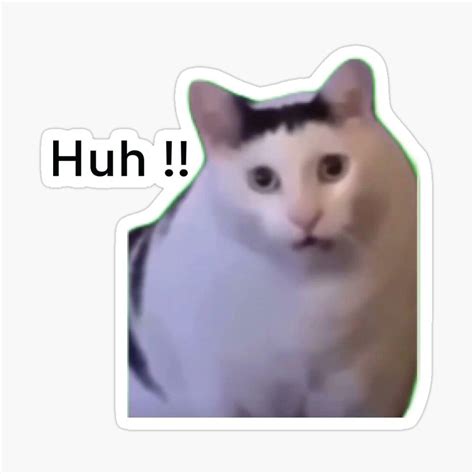 "huh cat meme viral huh? meme" Sticker for Sale by joy4shirt | Cute ...