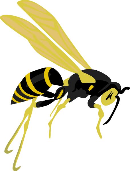 Flying Wasp 2 Clip Art at Clker.com - vector clip art online, royalty free & public domain