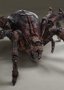 Photos of Shelob on myCast - Fan Casting Your Favorite Stories