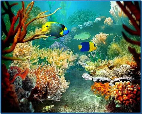 Tropical Fish Screensaver - Download-Screensavers.biz