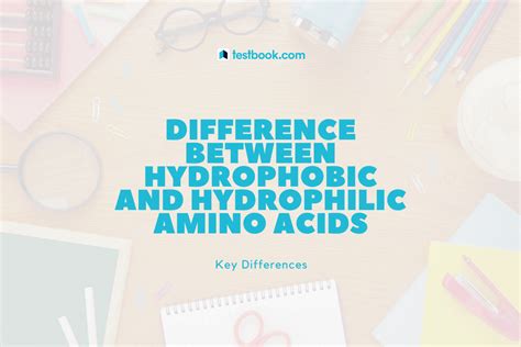 Learn Difference Between Hydrophobic and Hydrophilic Amino Acids