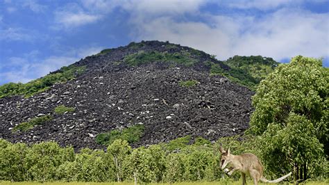 Black Mountain (Kalkajaka) National Park