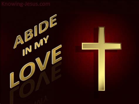 31 Bible verses about Abiding In Christ