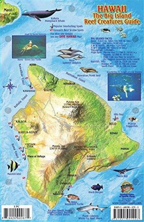 Hawaii, The Big Island, Reef Creatures Guide by Frankos Maps Ltd ...