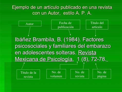 Fichas bibliográficas: APA